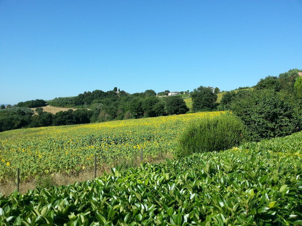 Vila Il Borghetto Todi Exteriér fotografie